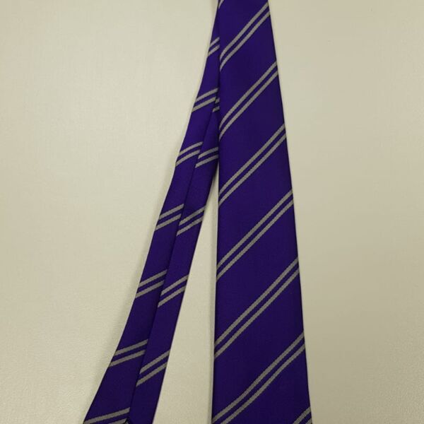 Birchwood C of E Tie BCE Tie Birchwood C of E Tie Thumbnail